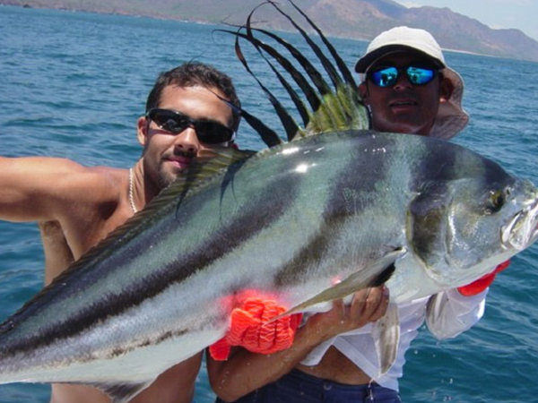rooster fishing jaco costa rica
