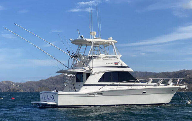 tamarindo fishing charters