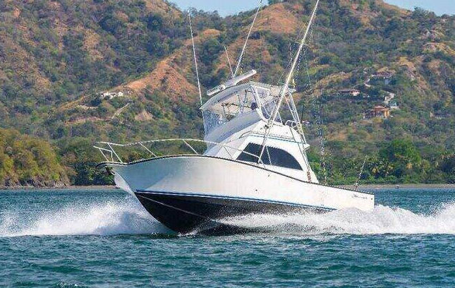 tamarindo fishing charters